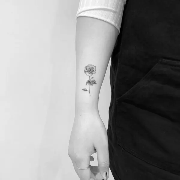 Flower, Rose