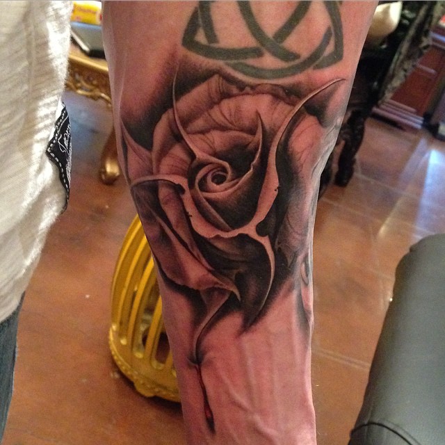 Flower, Rose