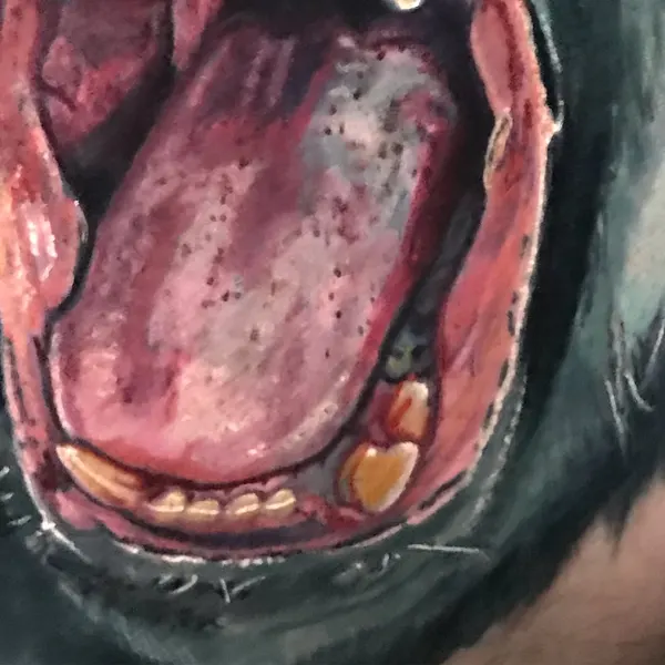 Animal, Tiger
