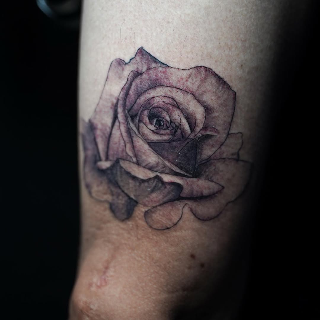 Flower, Rose