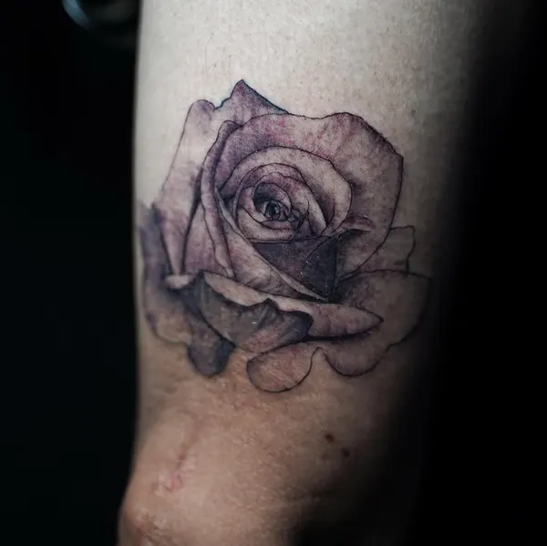 Flower, Rose