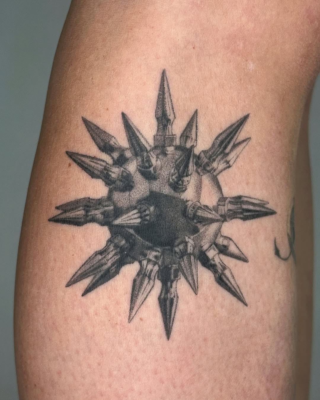 plantsnpokes