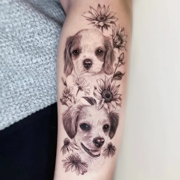 Animal