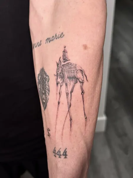 romeolacoste