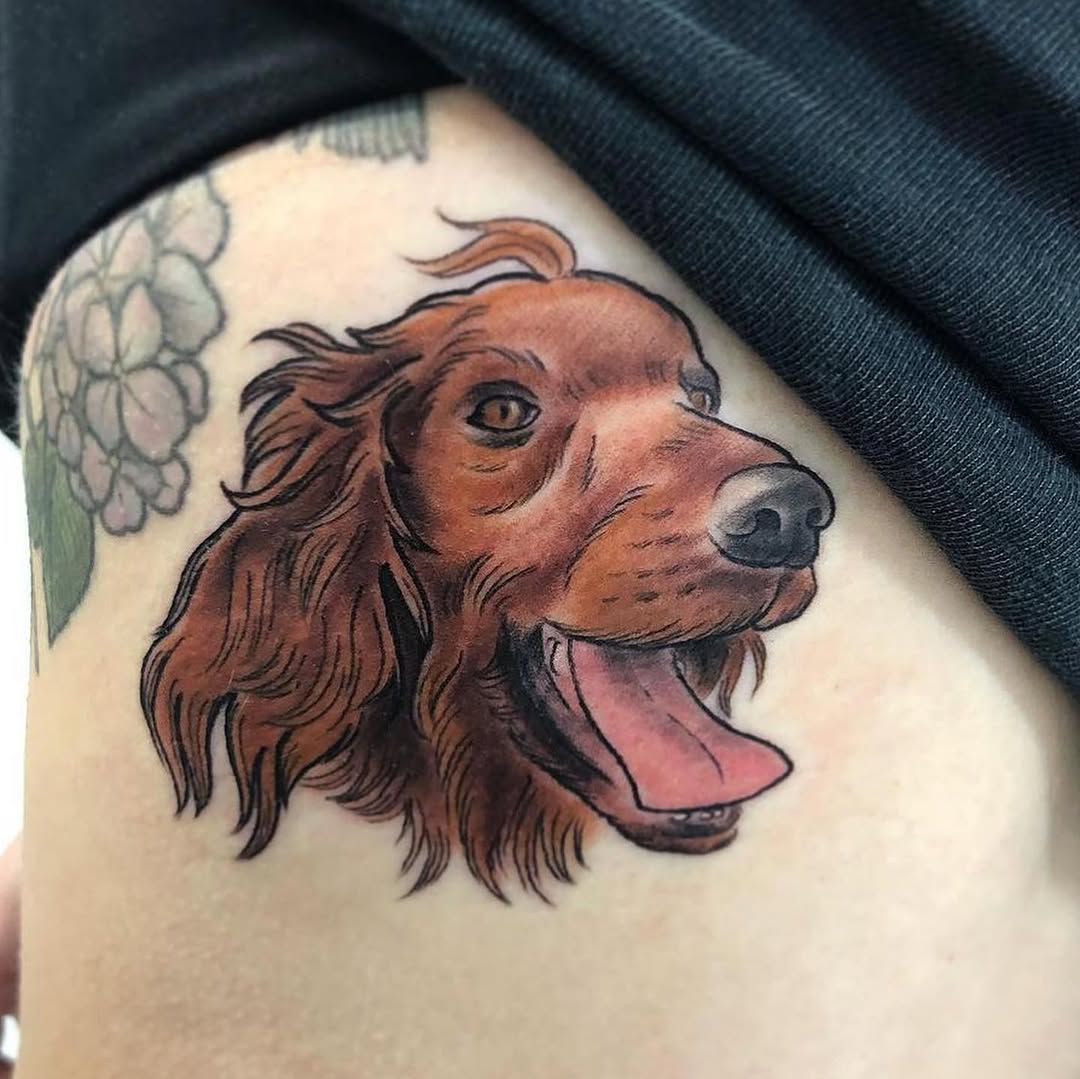 Animal