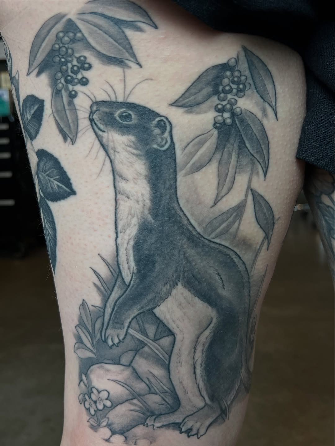shawn_hebrank