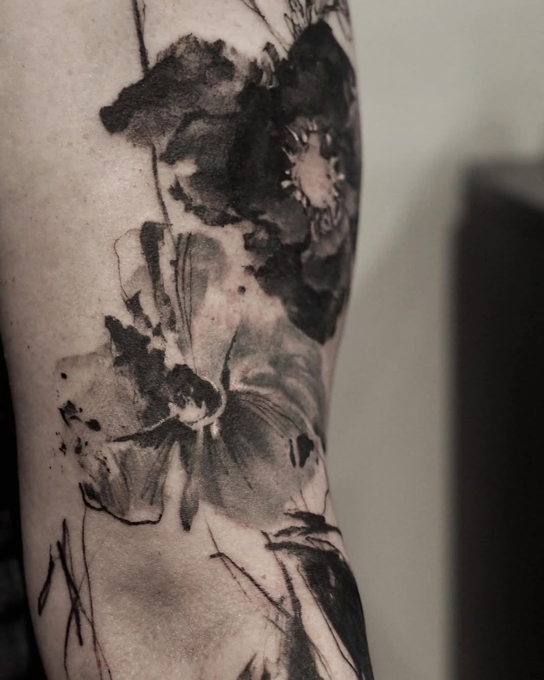 Flower, Rose, Nature