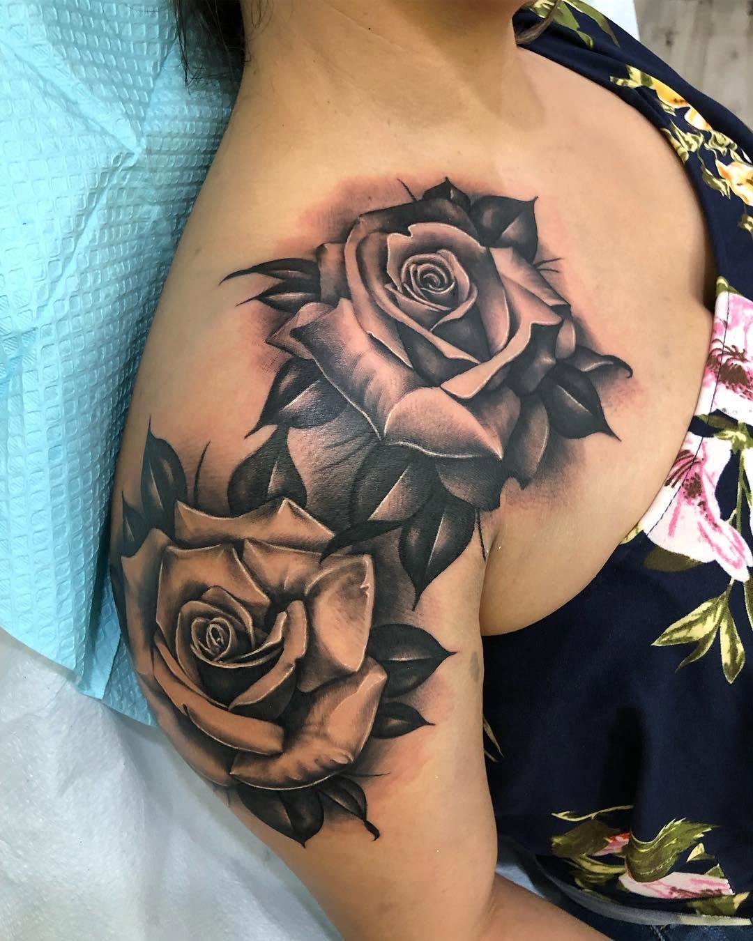 Flower, Rose, Nature