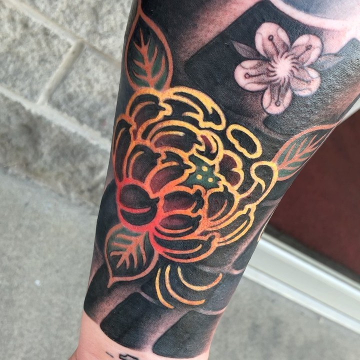 Flower, Rose
