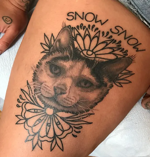 Animal
