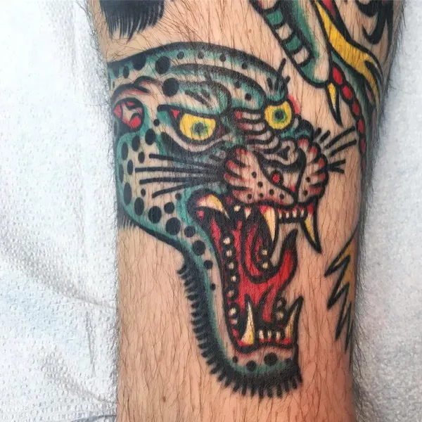 Tiger, Animal