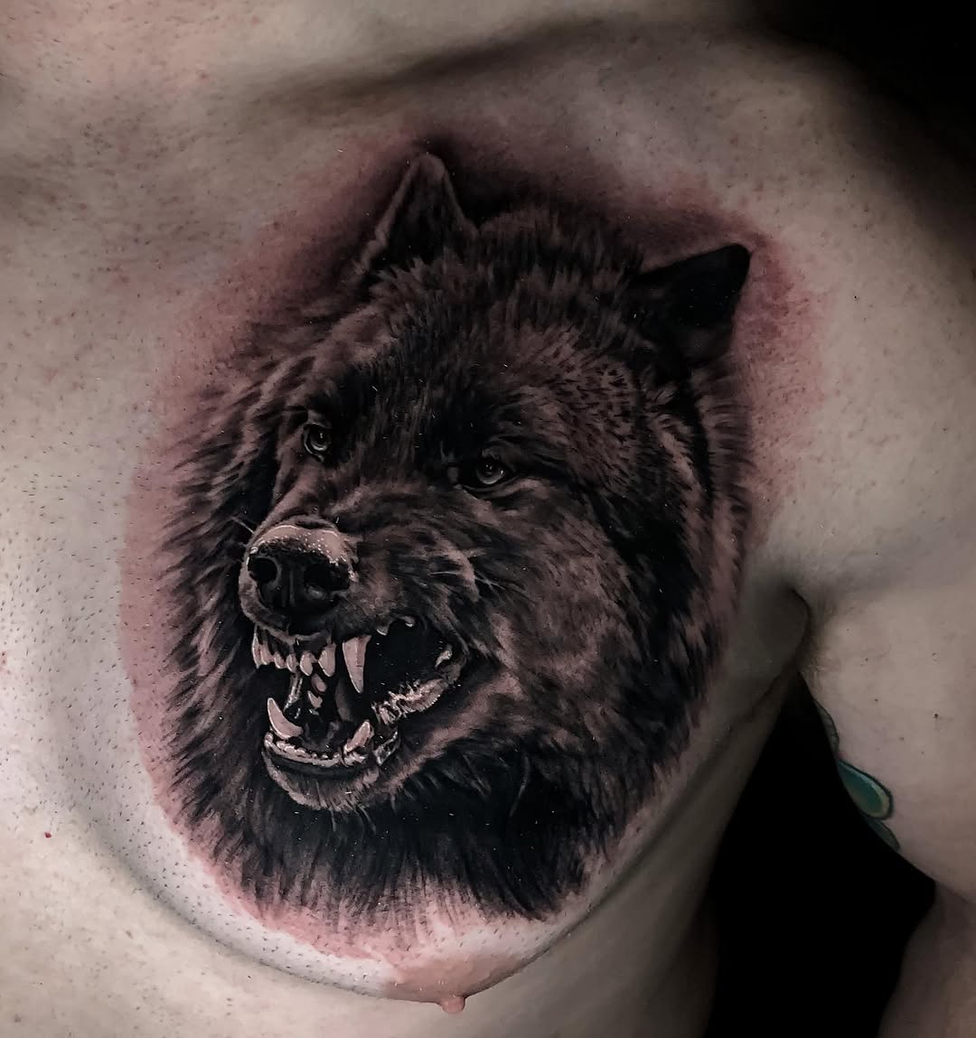 Animal