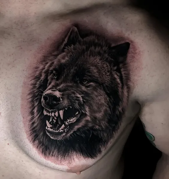 Animal