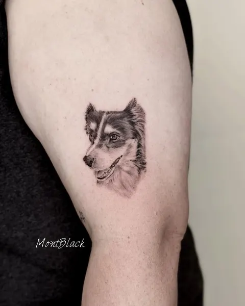 Animal