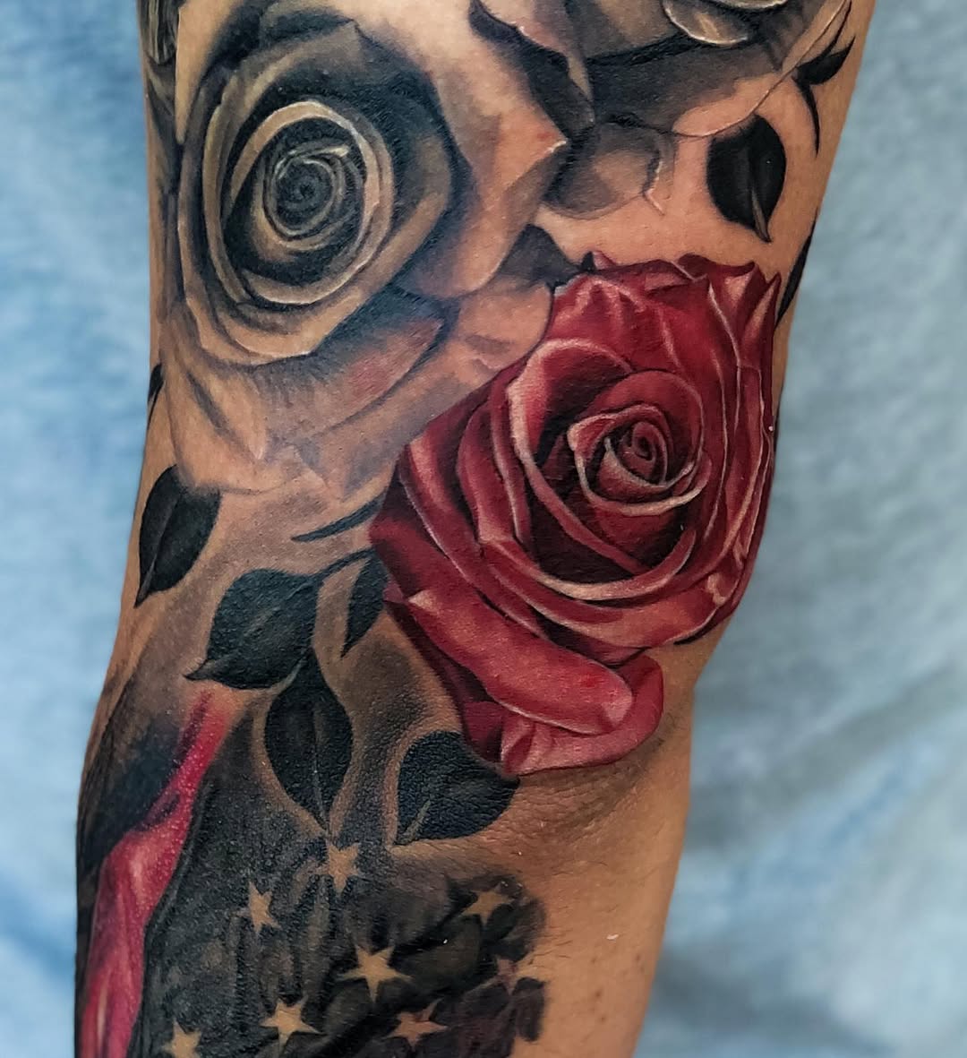 Flower, Rose
