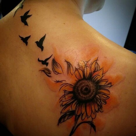 Flower, Nature, Rose