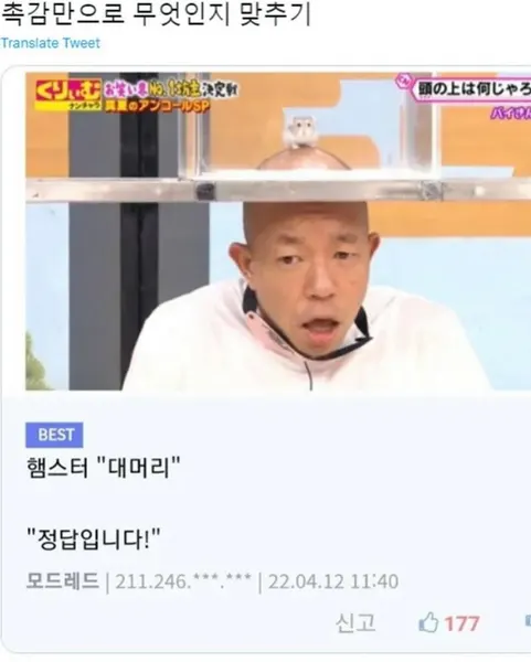 치유, 플래시 타투