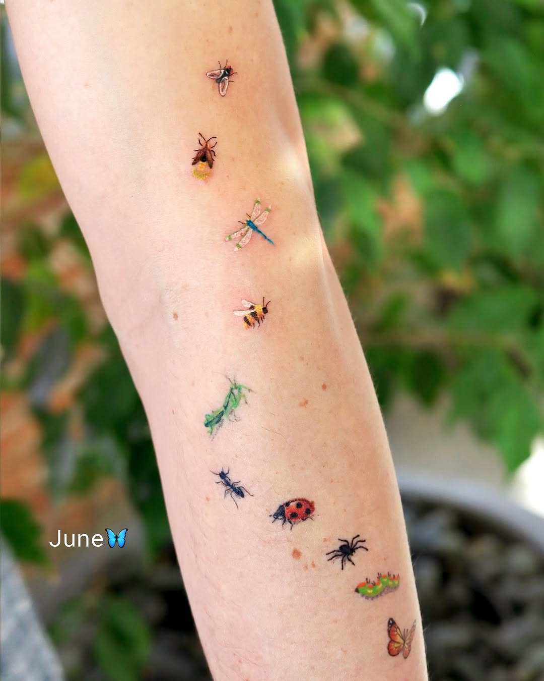 ovenlee.tattoo