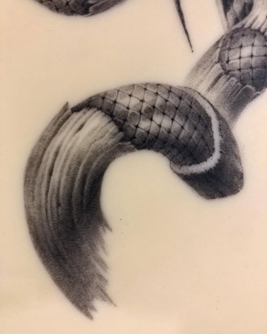 lifo_art