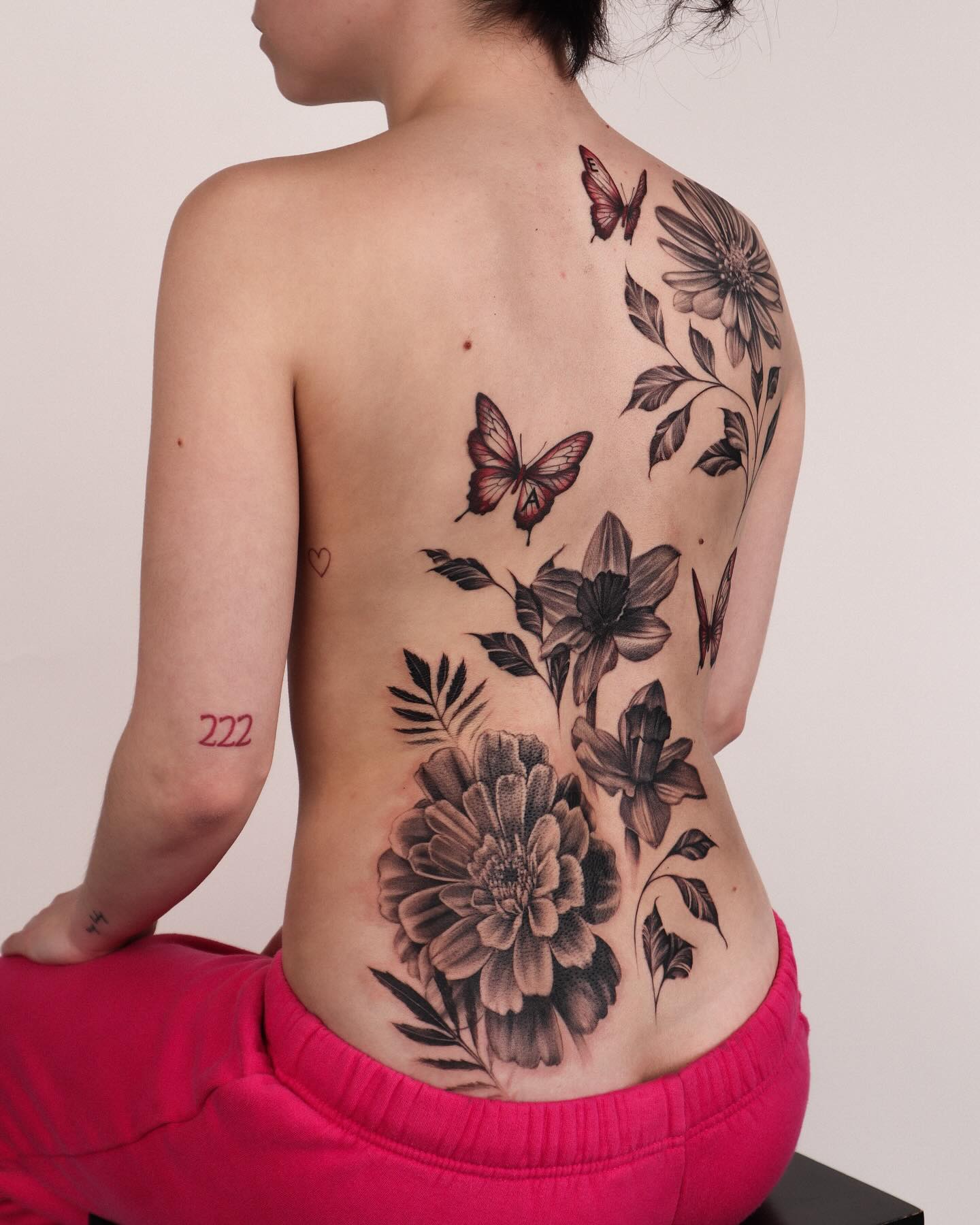 Flower, Nature, Rose