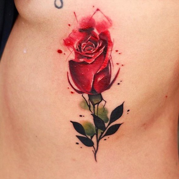Flower, Rose