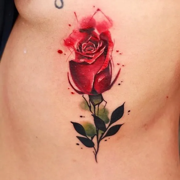 Flower, Rose
