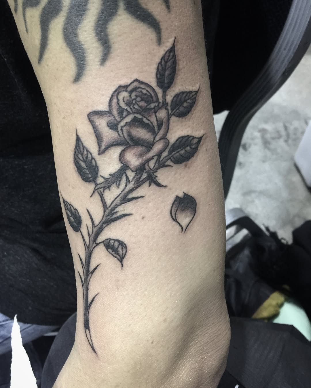 Flower, Rose