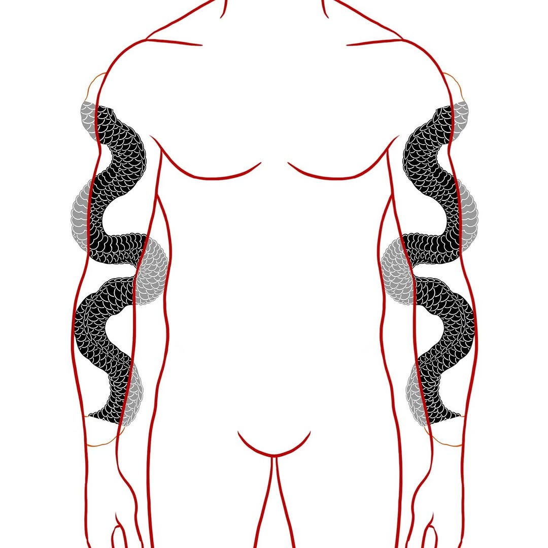 Dragon, Snake