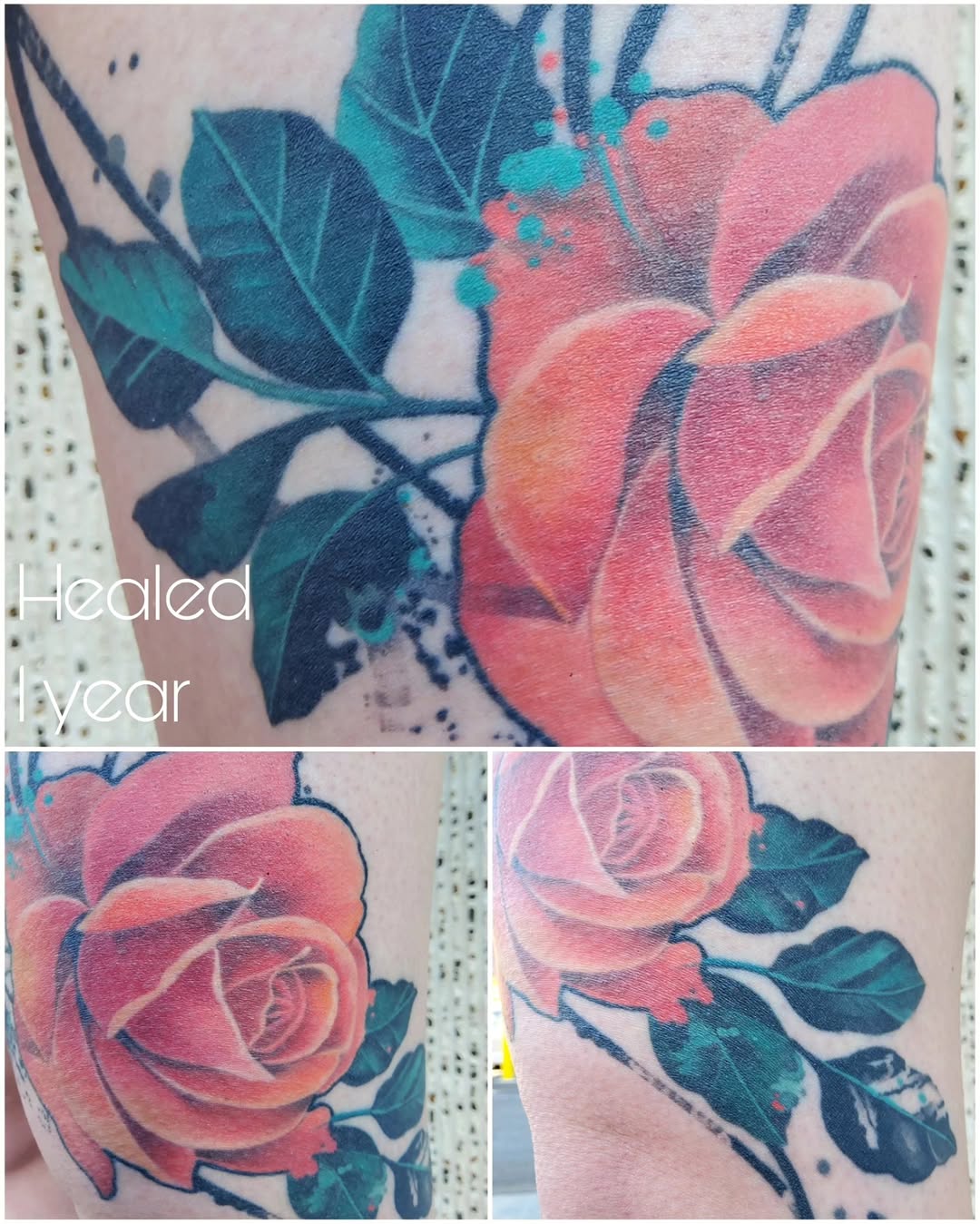 Flower, Rose