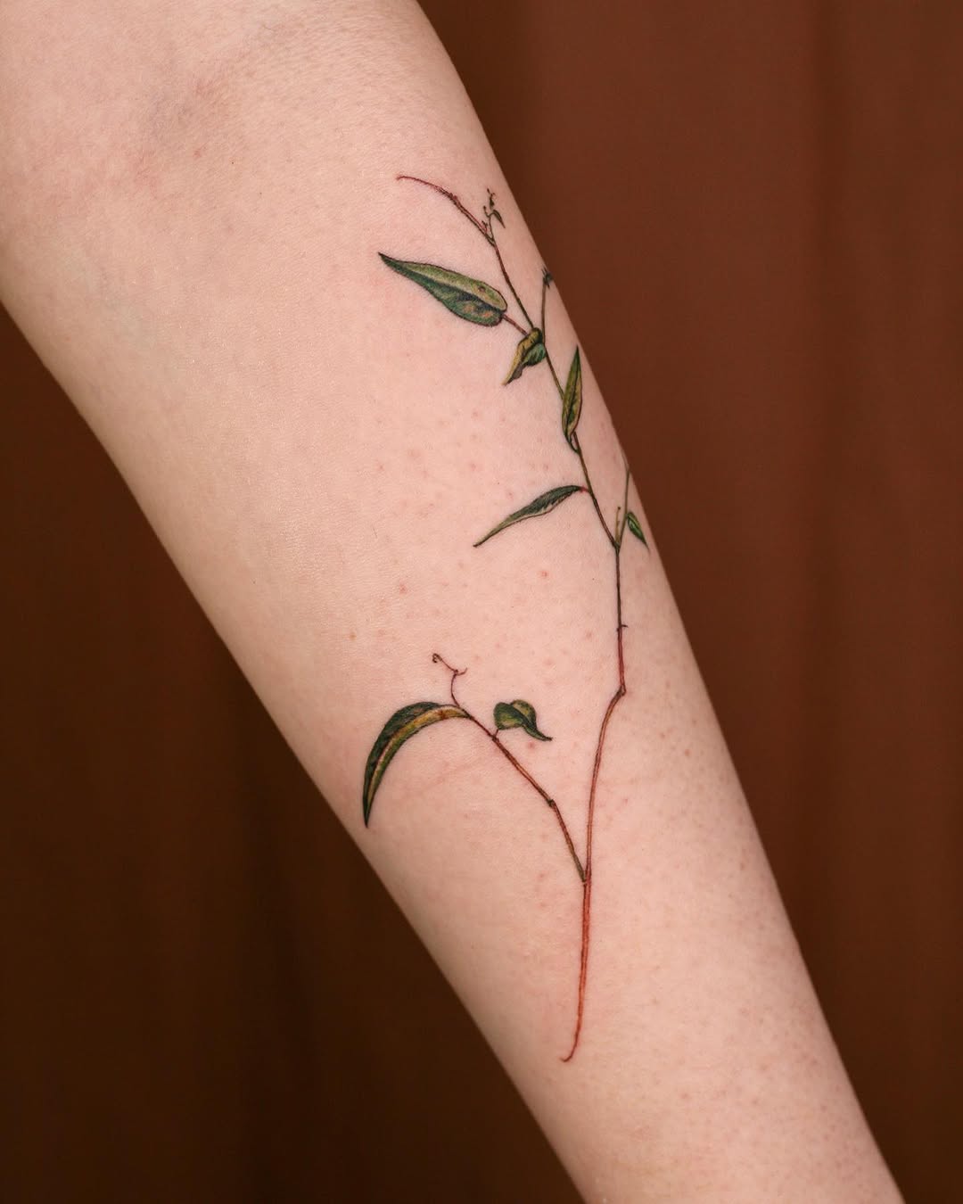 Flower, 풀, Rose