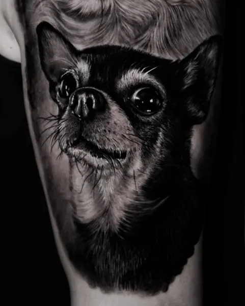 albertquintero_art