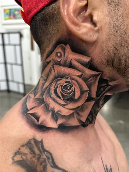 Flower, Rose