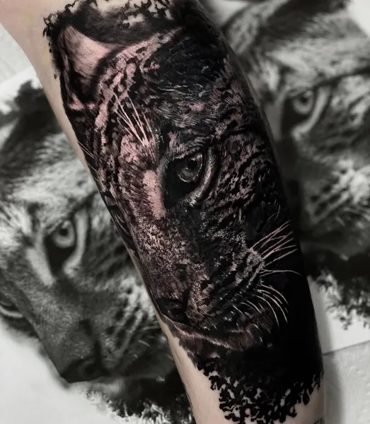 Animal, Tiger