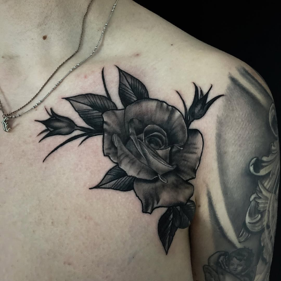 Flower, Rose, Nature