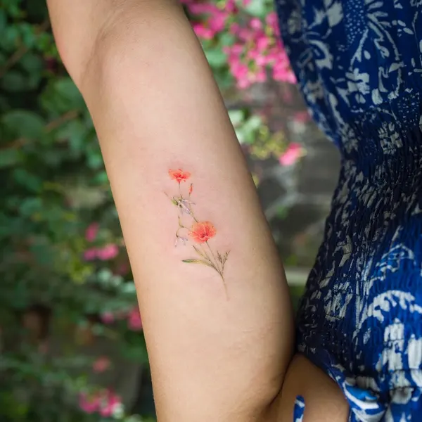 Flower, Rose