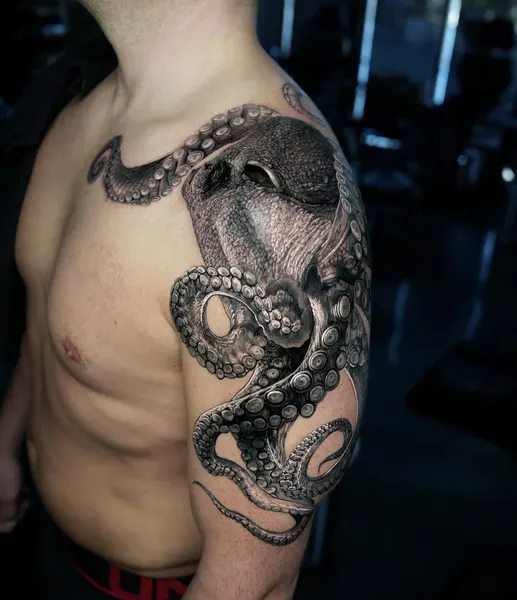 Animal