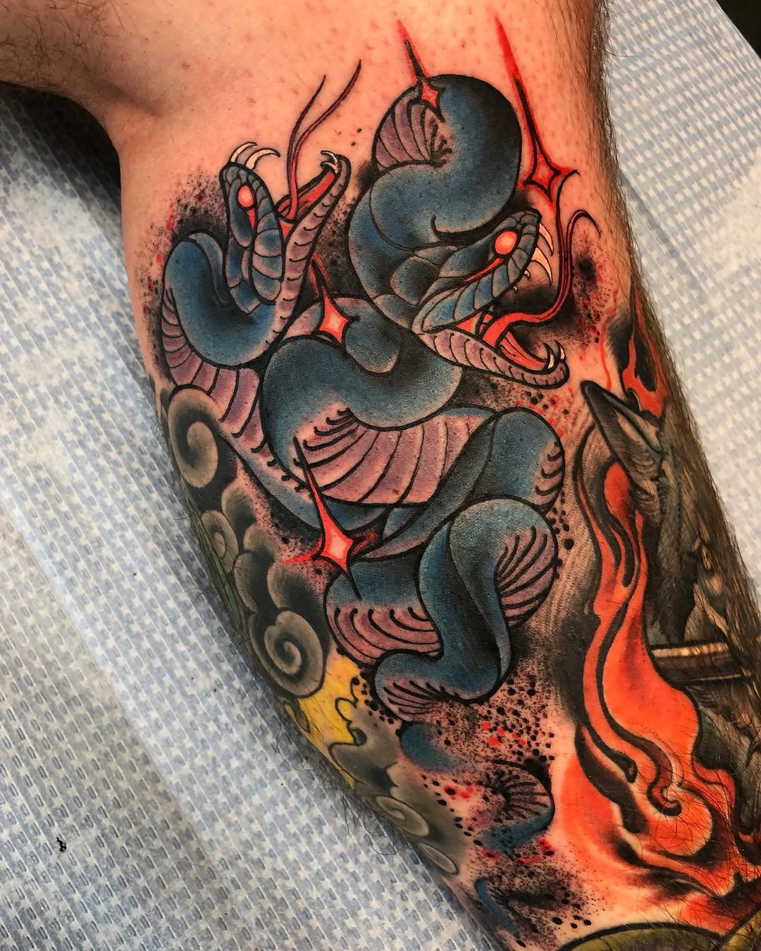 Dragon