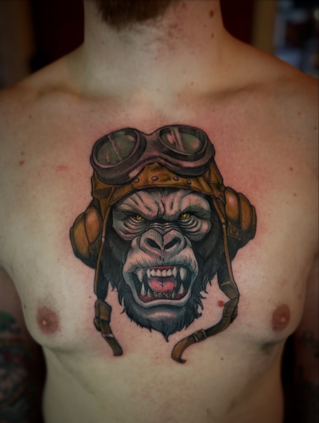 Tiger, Animal