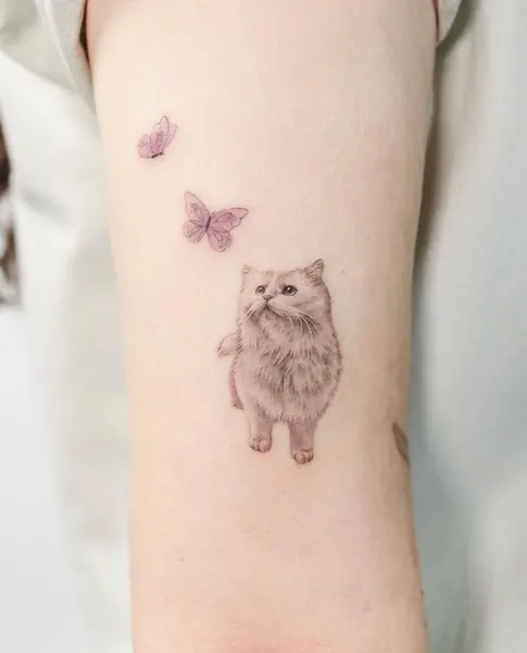 Animal