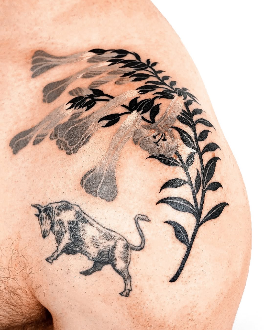 nobodytattoo