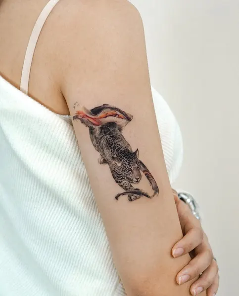 표범, 치타, 재규어, Animal