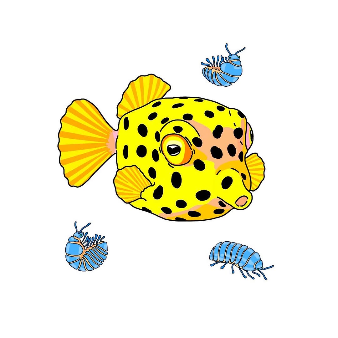 happyfishhead