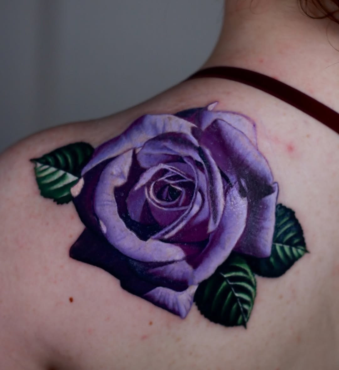 Flower, Rose, Nature