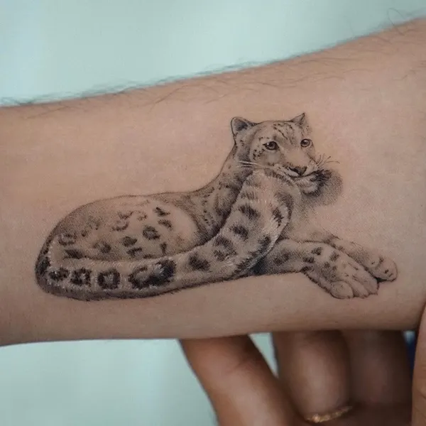 Animal