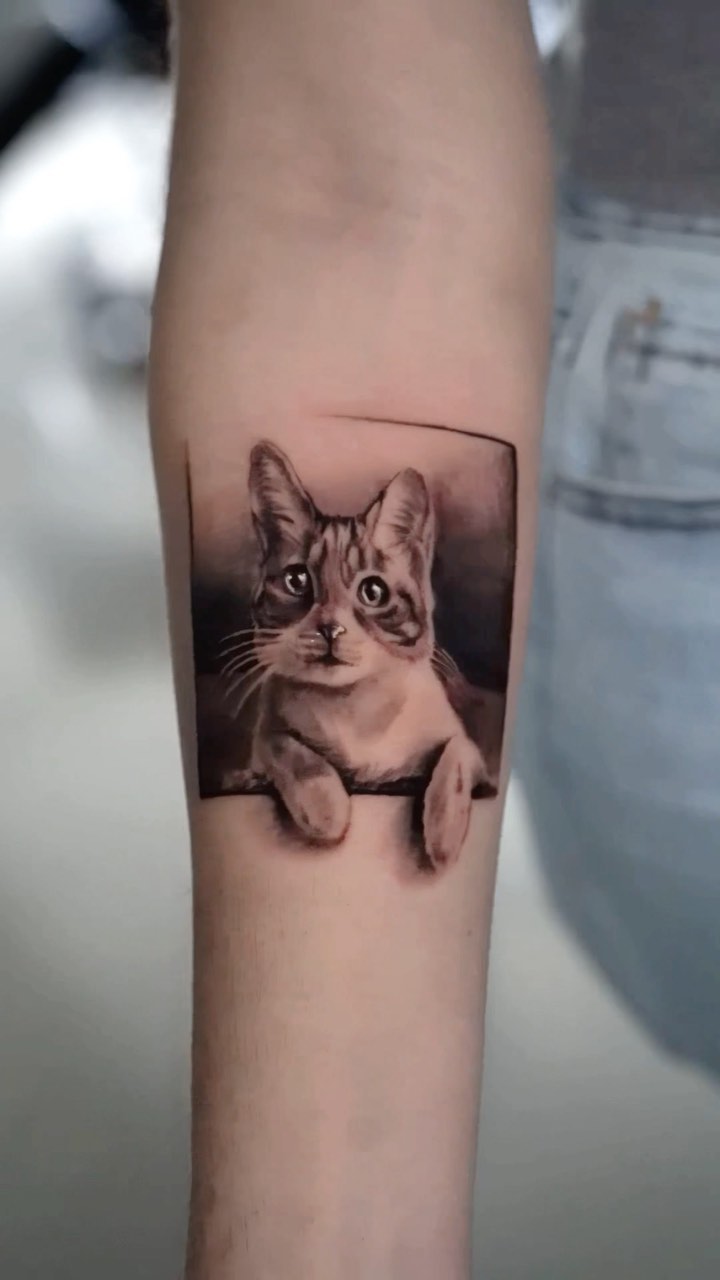 고양이, 여우 가면