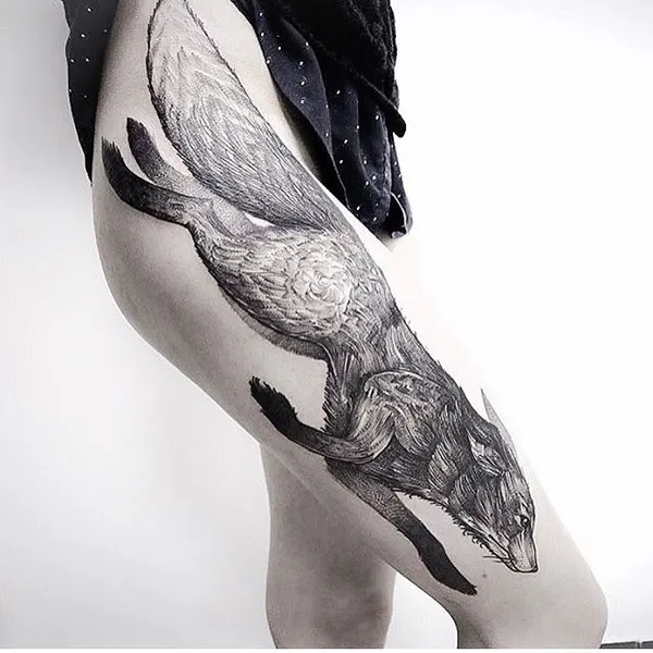 Animal, 잉어