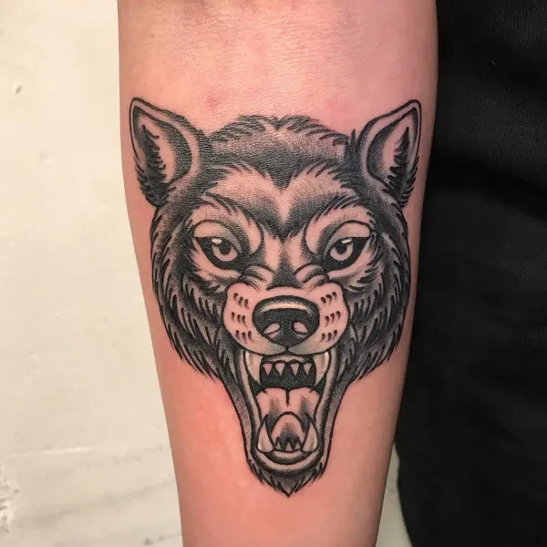 Animal, Tiger