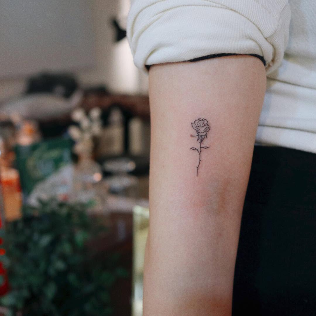 Rose, Flower