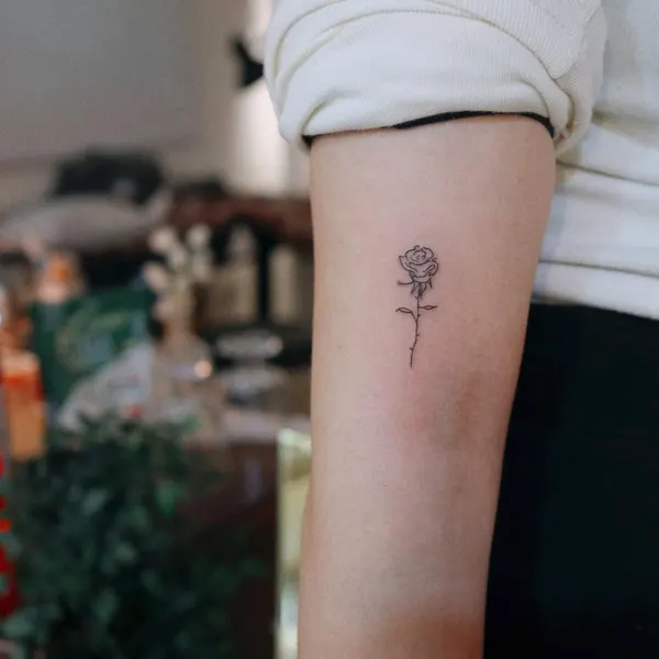 Rose, Flower