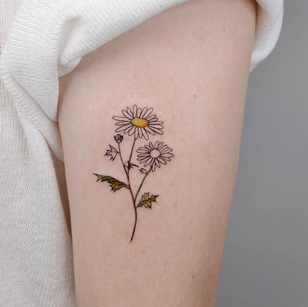 자동차, Mini